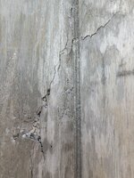 IMG_8851.jpeg