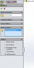 Mirror1.jpg