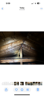 IMG_8654.PNG