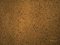 Verticalgrain_0_2.jpg Verticalgrain_0_2.jpg