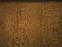 Verticalgrain_2_1.jpg Verticalgrain_2_1.jpg