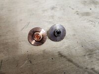 20250314_054649.jpg