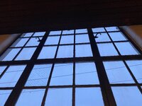 IMG_0942.jpeg