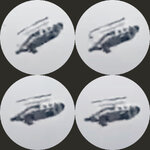 chopper fall.1024.jpg