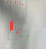 IMG_3903.jpeg