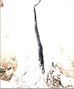 column 2a.JPG